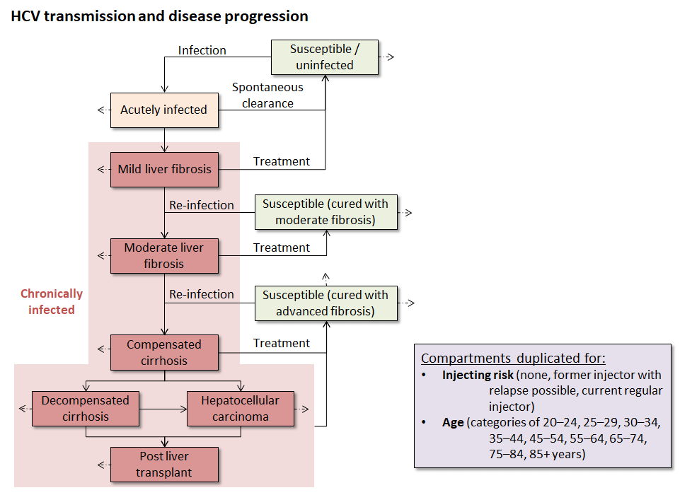 Test solutions that yield high quality and accurate test results. Optima | HCV | Home